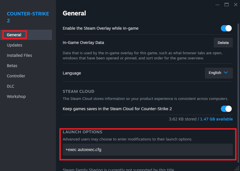 Counter-Strike 2 (CS2) Launch Options In Steam